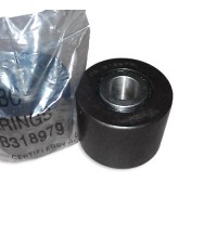 Bearing CB318979